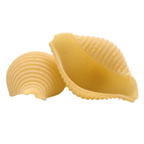 Shell Pasta Per Kg