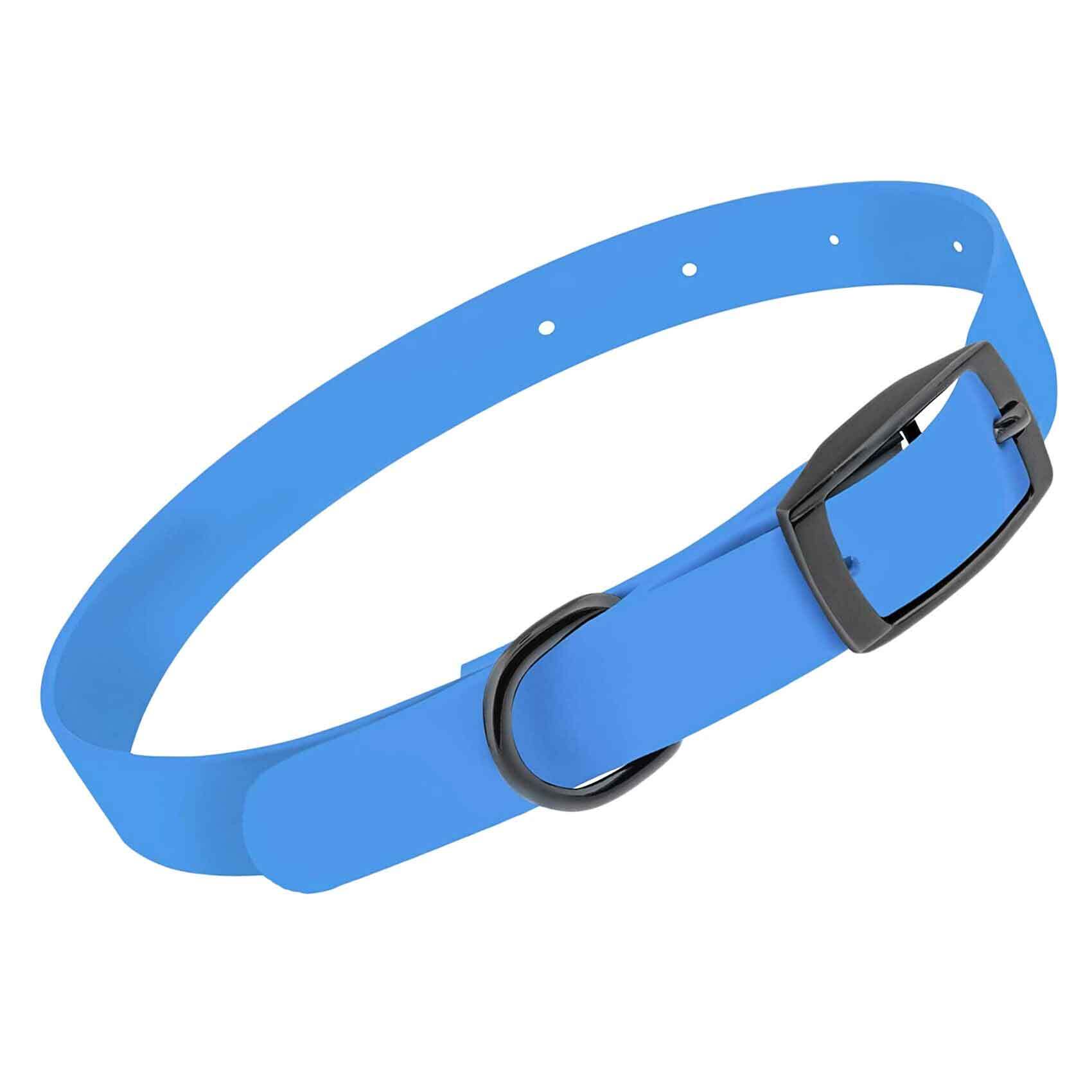 Dogs belts online clearance shopping