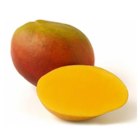Buy Kent Mango in UAE