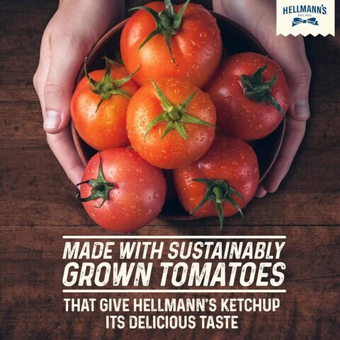 هيلمانز كاتشب الطماطم 500 غرام