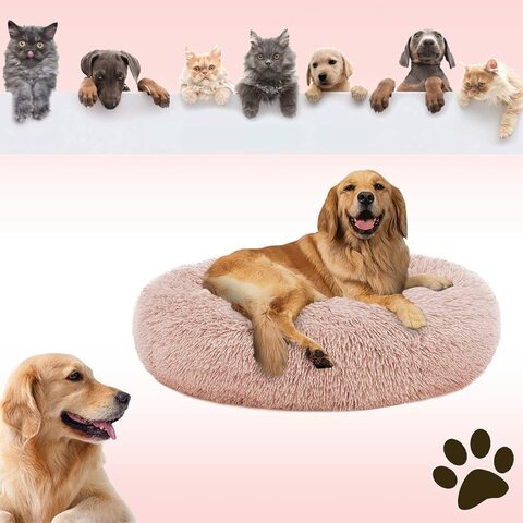 Cheap store puppy beds