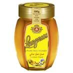Buy Langnese Pure Bee Honey 500g in UAE