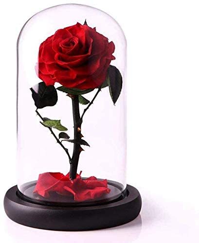 Handmade Preserved Flowers Forever Roses in Glass, Natural Eternal Never Withered Flowers for Valentine&#39;s Day, Mother&#39;s Day, Anniversary, Birthday, wedding (Red)