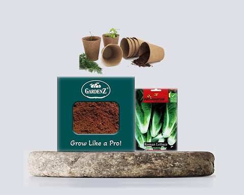 Gardenz Bundle-Pack Gardenz Soil Cocopeat For Indoor/Outdoor Plants 1.5 Kgs., Roman Lettuce Seeds Ag0193 Agrimax, Jiffy-Pots Seed Starting 8Pcs