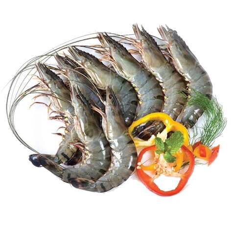 Fresh Shrimps Size 30-40 Gram