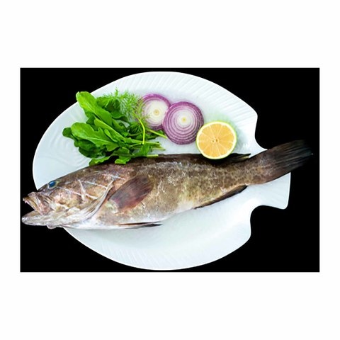 Buy Suez Wakkar Fish in Egypt