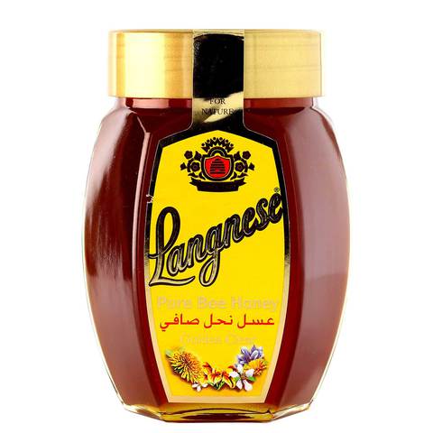 Buy Langnese Bee Honey 500g in Saudi Arabia