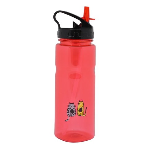 Hydro flask for store dogs