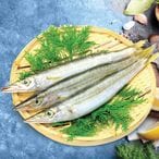 اشتري سمكة باراكودا في السعودية
