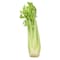 Organic Celeries 500g