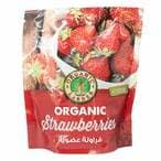 اشتري أورغانيك لاردر فراولة عضوية مجمدة 300 غرام في الامارات