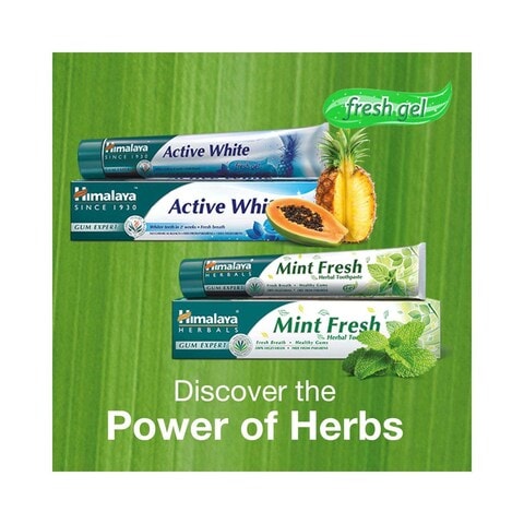 Himalaya Mint Fresh Herbal Toothpaste 125g