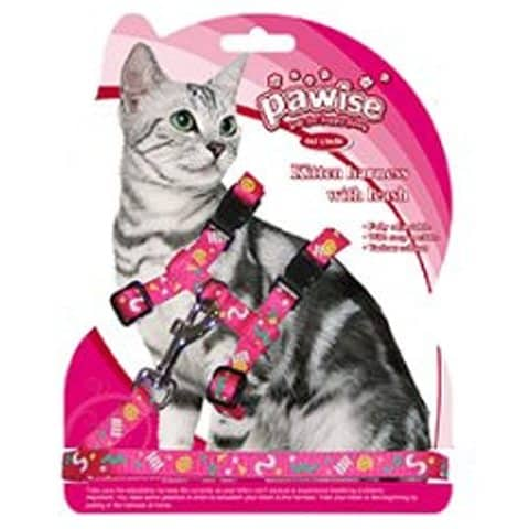 Pawise Kitten Harness 1.2 Leash Assorted Color