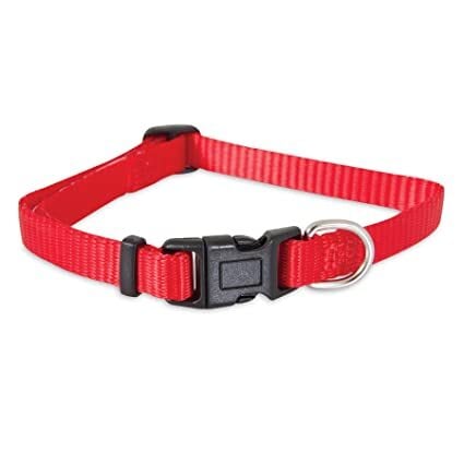 Buy Petmate Nylon Adjustable Dog Collar 3 8