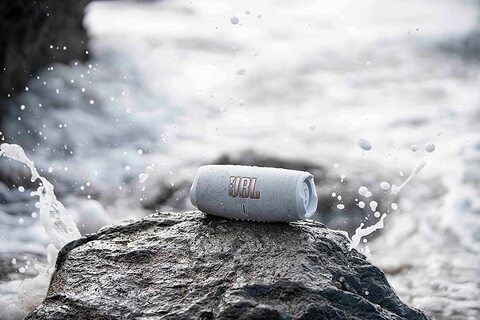 JBL Charge 5 Portable Waterproof Speaker with Powerbank, Grey