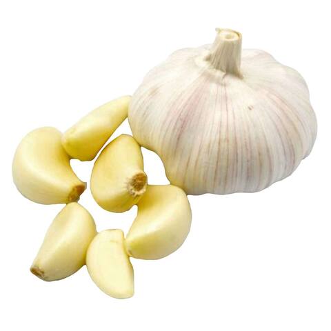 Garlic pack pack of 4