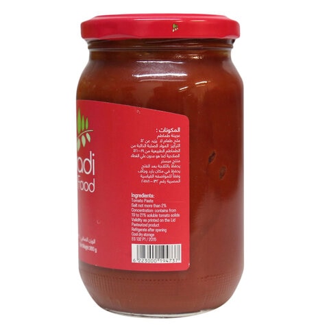 Wadi Food Tomato Paste 360g