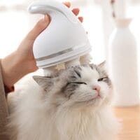 Handheld Massager for Dogs Cats Massage Brush Automatic Grooming Tools Electric Pets Head Massager