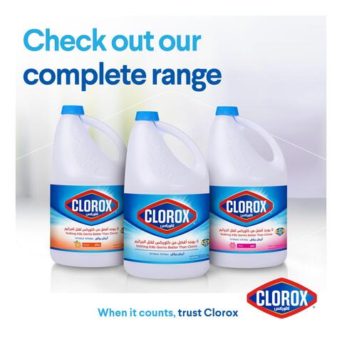 Clorox Liquid Bleach Original Household Cleaner and Disinfectant, Eliminates Common Household Germs and Removes Stains 3.78L