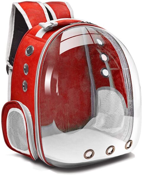 Portable pet outlet carrier