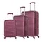 Senator Hard Case Suitcase Trolley Luggage Set of 3 For Unisex ABS Lightweight Travel Bag with 4 Spinner Wheels KH1075 Maroon