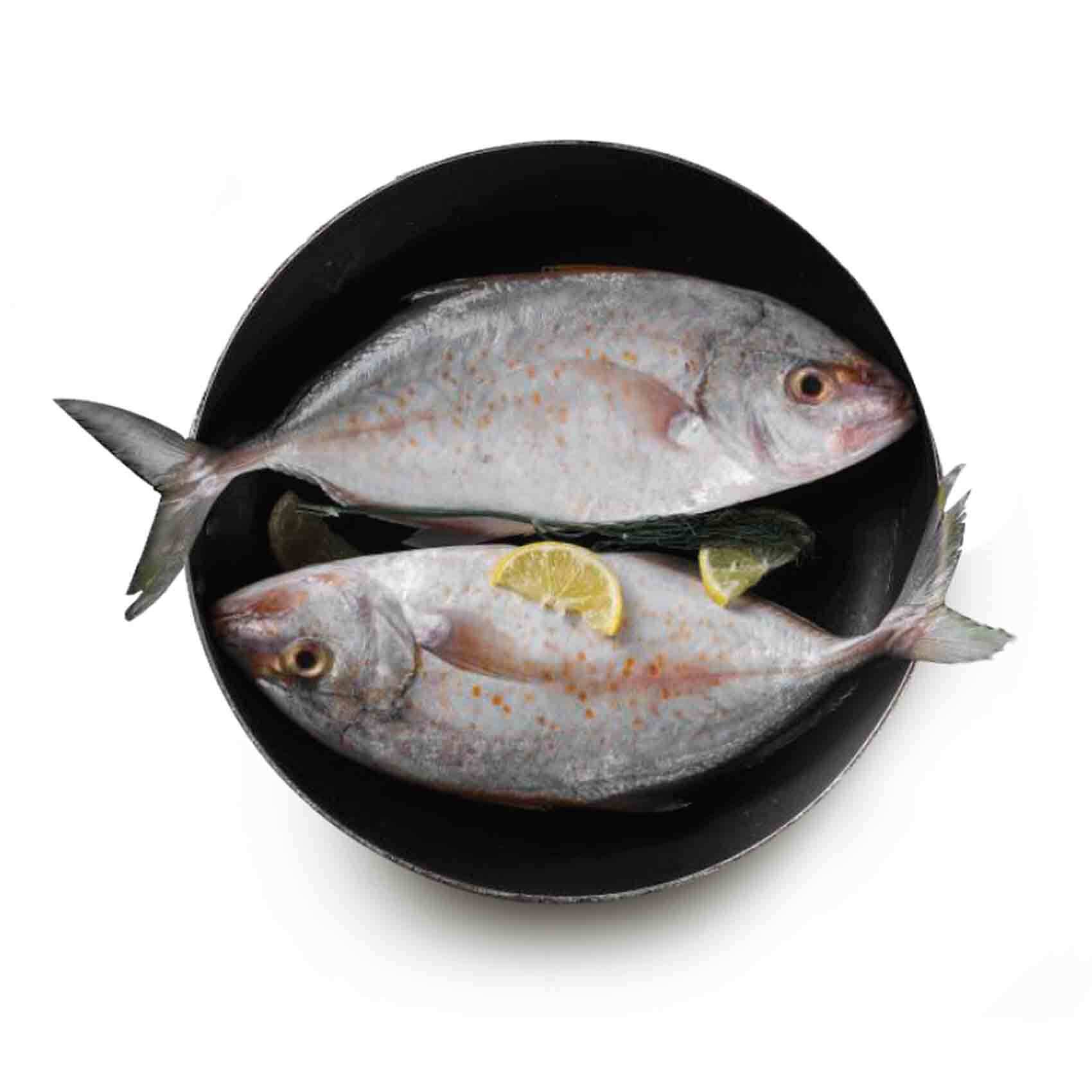 Buy Fresh King Fish Small Online - Shop Fresh Food on Carrefour UAE