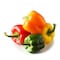 Mixed Capsicums 400g (Lowest Price)