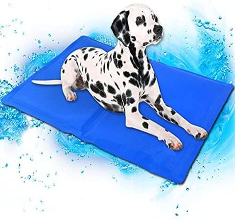 Chilly gel store pet mat