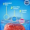 Ziploc Seal Top Food Freezer Quart 38 Bags