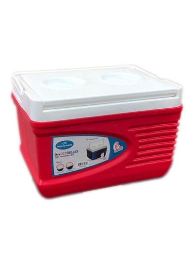 Freezer store cooler box