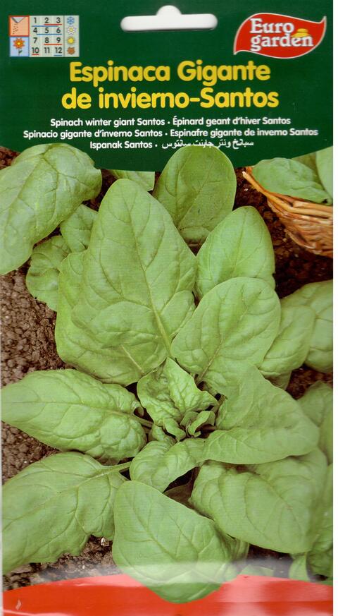 Euro garden Spinach