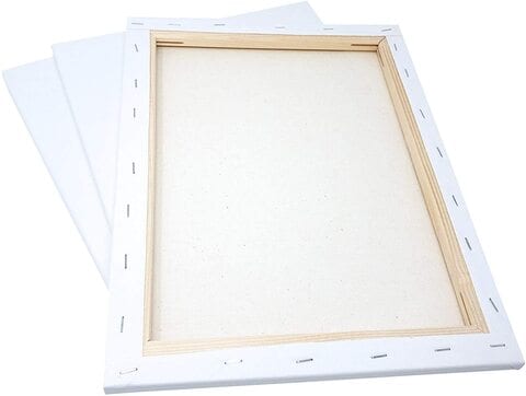 Buy Generic Canvas Panels Multi Pack 20X30 cm 30X40cm 40X40