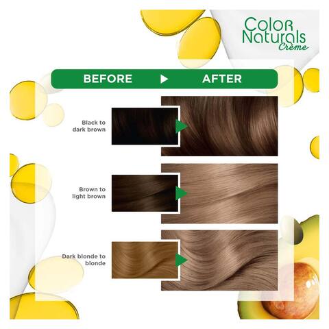 Buy Garnier Color Naturals Hair Color - Ash Blonde Online - Shop Beauty &  Personal Care on Carrefour Egypt
