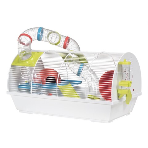 Hamster best sale supplies online