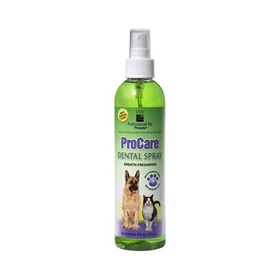 Procare Dog Squeaky Toy  