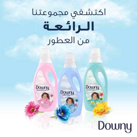 Downy Regular Fabric Softener With Dream Garden Scent 3L