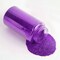 Glitter Shaker Bottle, 100g Violet Glitter Pots for Resin Epoxy Slime Painting Scrapbooking Arts and Crafts Supplies