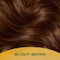 Wella Soft Color No-Ammonia Hair Colour Kit 50 Light Brown
