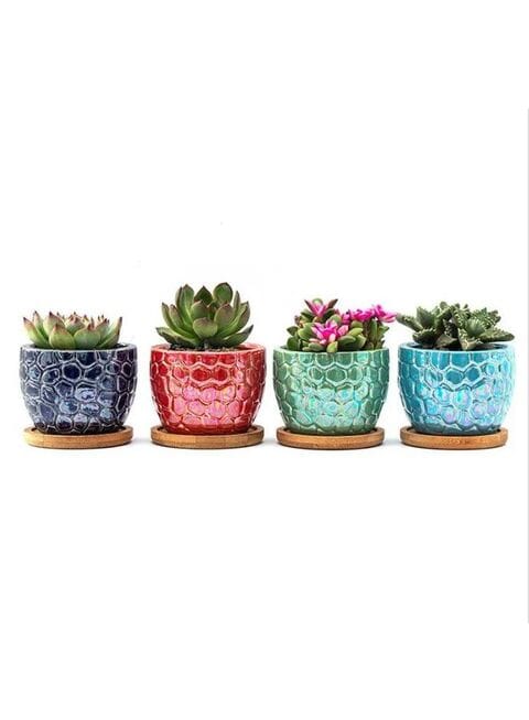 Ceramic on sale pots online