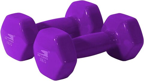 3 kg shop dumbbell set