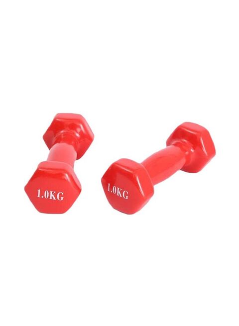Dumbbell sales set 1kg