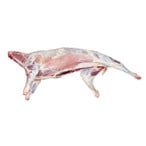 Buy Pakistani Mutton Carcass in UAE