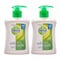 Dettol original anti bacterial liquid hand soap 200 ml &times; 2