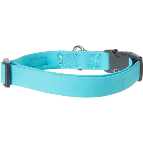 Teal store dog leash