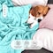 Hotel Linen Klub Double Micro Fleece Flannel Blanket - 260 GSM, Super Plush And Comfy Throw Blanket, Size: 200 x 220cm, Aqua