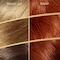 Wella Koleston Permanent Hair Colour Kit Dark Blonde Copper 6/4