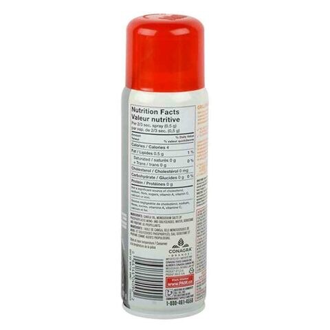 Pam Grilling Grillades Spray 141g