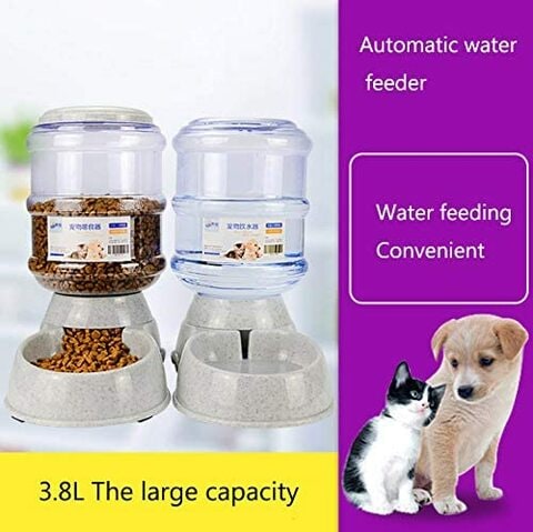 اشتري Dc Automatic Feeder Automatic Pet Feeder Dogs And Cats Are Popular (Blue) في الامارات