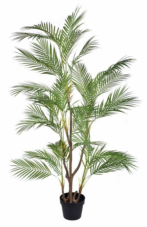 lint koolhydraat Missionaris Buy Yatai - Nearly Natural Artificial Palm Plant Date Tree - 1.6 Meter  Online - Shop Home & Garden on Carrefour UAE