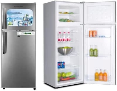 Buy YouCopia - Refrigerator RollOut Fridge Caddy, 4” x 15 -  YCA-50296 Online - Shop Home & Garden on Carrefour UAE